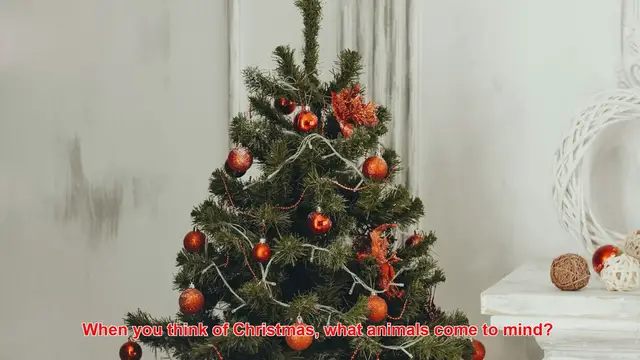 Video thumbnail for Why Are Winter Animals Like Penguins And Polar Bears Tied To Christmas?