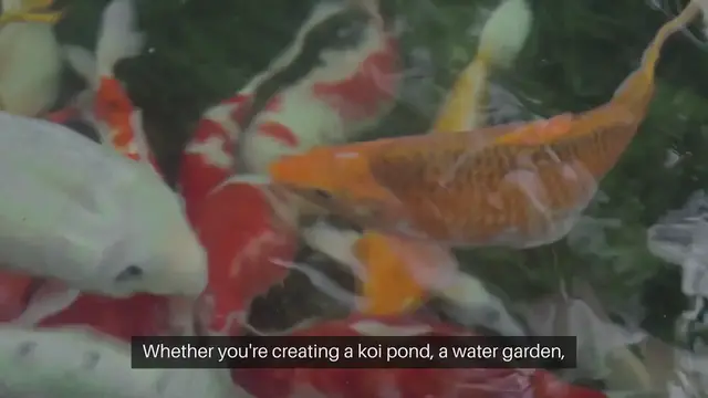 Video thumbnail for Aquatic Gardening