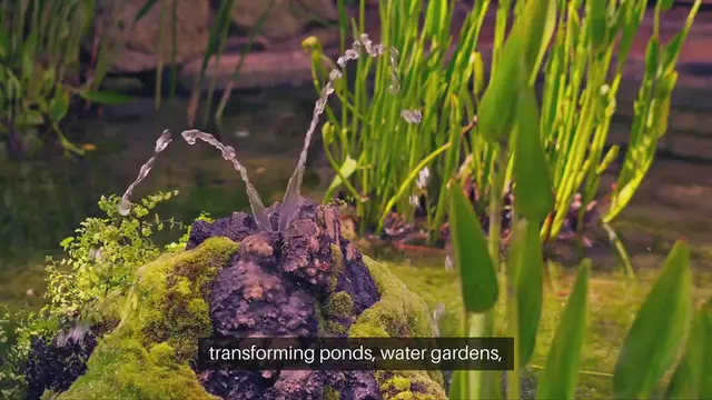 Video thumbnail for Aquatic Gardening Tips