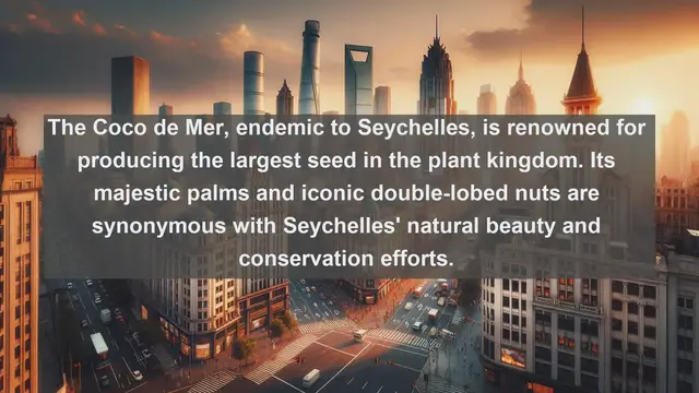 Video thumbnail for Exploring Seychelles' Floral Paradise: Top 10 Native Plants You Can't Miss