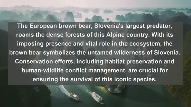 Video thumbnail for Exploring Slovenia's Natural Heritage: Top 10 Native Fauna