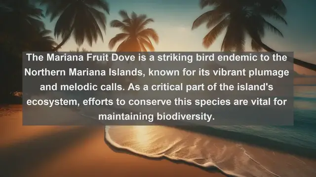 Video thumbnail for Discover the Enigmatic Fauna: Top 10 Native Animals in Northern Mariana Islands