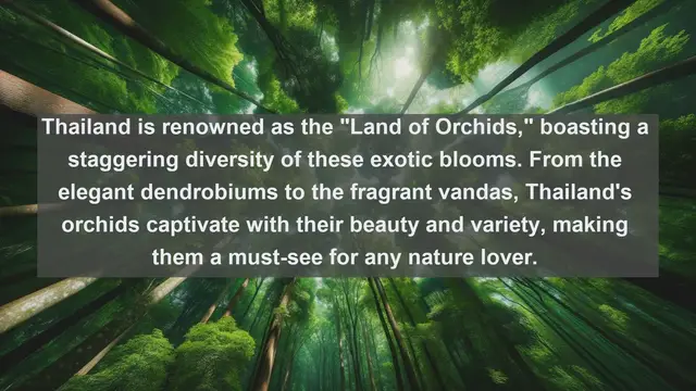 Video thumbnail for Unveiling Thailand's Natural Beauty: Top 10 Native Flora You Can't Miss