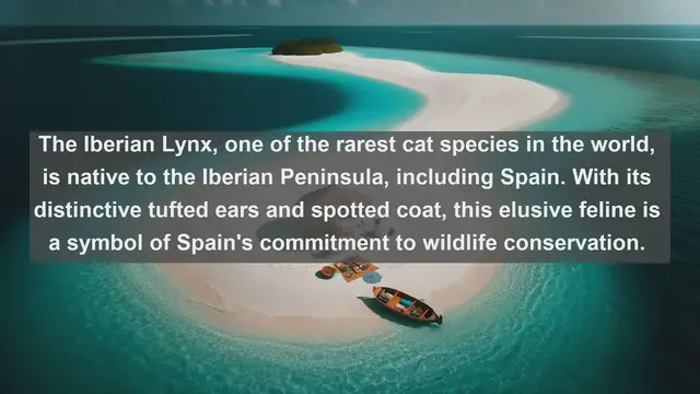 Video thumbnail for Discovering Spain's Wildlife: Top 10 Native Animals You Must See