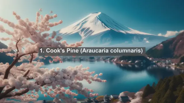 Video thumbnail for Exploring New Caledonia's Natural Treasures: Top 10 Native Flora Revealed!