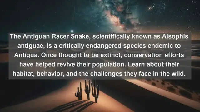 Video thumbnail for Discovering Antigua and Barbuda: Top 10 Native Animals You Must See!