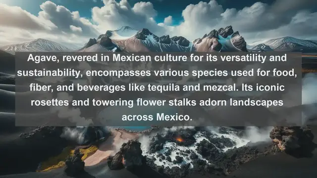 Video thumbnail for Unveiling Mexico's Natural Heritage: Top 10 Native Plants in Mexico