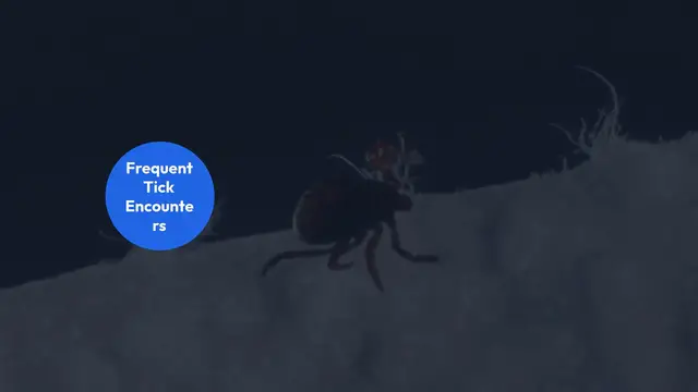 'Video thumbnail for Battling_Ticks_and_Lyme_Disease'