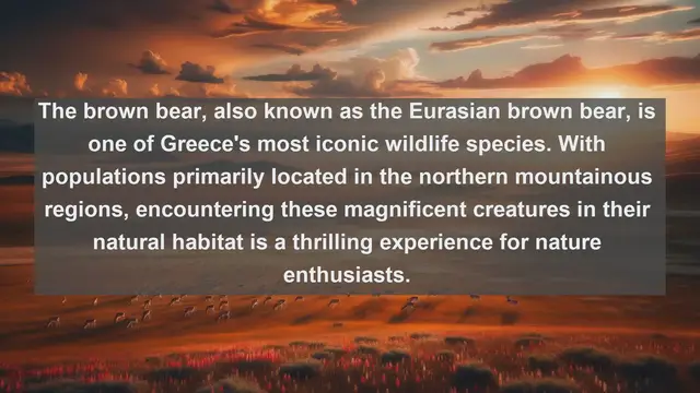 Video thumbnail for Discover Greece's Natural Treasures: Top 10 Native Animals in the Hellenic Republic
