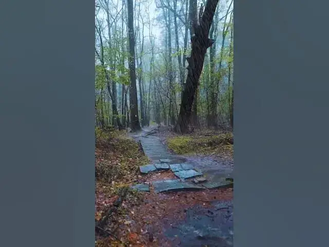 Video thumbnail for #repost #savenature #nature  #world