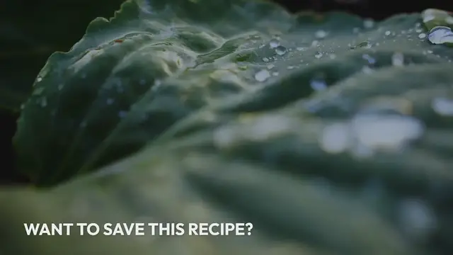 Video thumbnail for 7 Power Couples to Grow Side-by-Side for a Thriving Veggie Patch