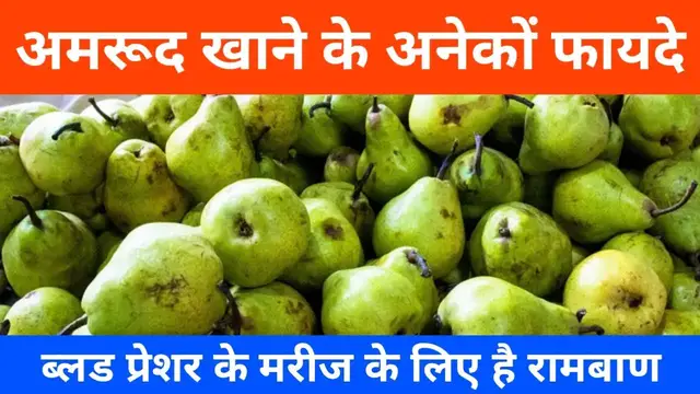 'Video thumbnail for अमरूद खाने के फायदे बताएं | अमरूद खाने के फायदे क्या है | भुना अमरूद खाने के फायदे'