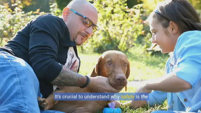 Video thumbnail for Paws & Play: Ultimate Guide to Safe & Fun Dog Outdoors