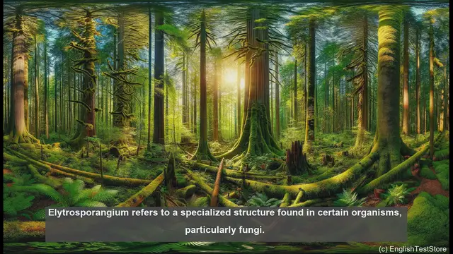 Video thumbnail for Elytrosporangium in biology - meaning, definition and examples