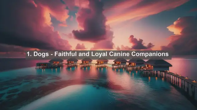 Video thumbnail for Discover Colombia's Most Beloved Companions: Top 10 Favorite Pets Unveiled!