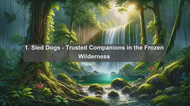 Video thumbnail for Unique Pet Companions in Antarctica: Top 10 Favorites Revealed