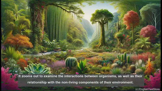 Video thumbnail for Ecology in biology - meaning, definition and examples