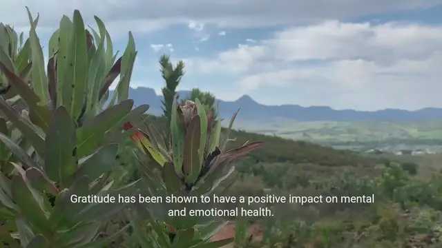 Video thumbnail for Benefits of Gratitude | Transform Your Life