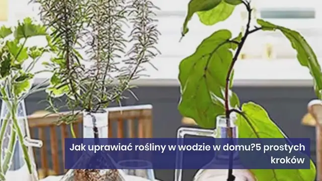 Video thumbnail for Jak uprawiać rośliny w wodzie w domu? 5 prostych kroków