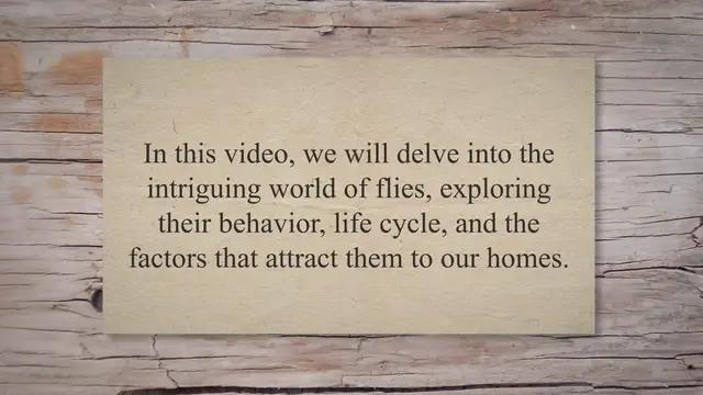 Video thumbnail for Unveiling the Secrets: What Attracts Flies to Your Home and How to Keep Them at Bay