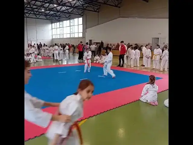 'Video thumbnail for Karateka de la SCM Zalău participă la faza zonală a C.N. de Karate Tradițional 1 #karate'
