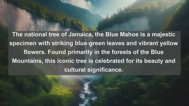 Video thumbnail for Exploring Jamaica's Natural Gems: Top 10 Native Flora Species