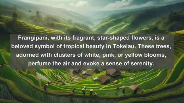 Video thumbnail for Exploring Tokelau's Natural Splendor: Top 10 Native Plants You Need to See