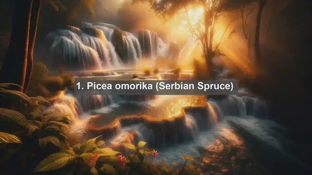 Video thumbnail for Unveiling Serbia's Natural Treasures: Top 10 Native Flora Species