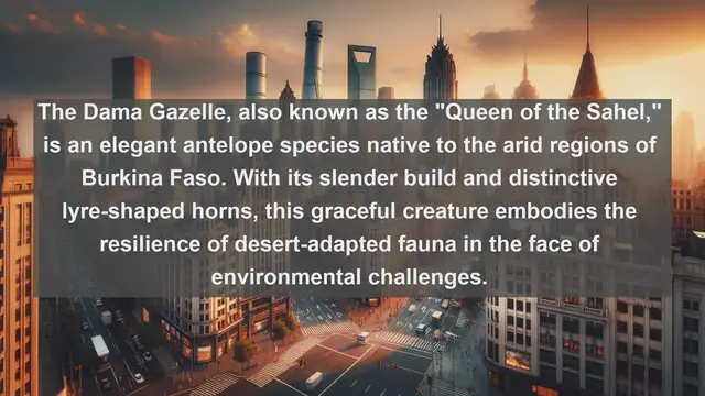 Video thumbnail for Unveiling Burkina Faso's Wildlife Treasures: Top 10 Native Fauna