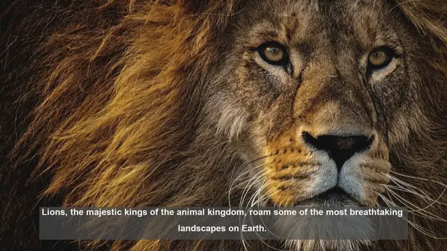 Video thumbnail for Top 10 Stunning Lion Habitats: From Okavango to Amboseli