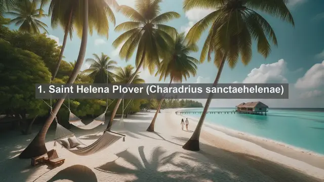 Video thumbnail for Unveiling the Wildlife Wonders of Saint Helena, Ascension, and Tristan da Cunha: Top 10 Native Animals