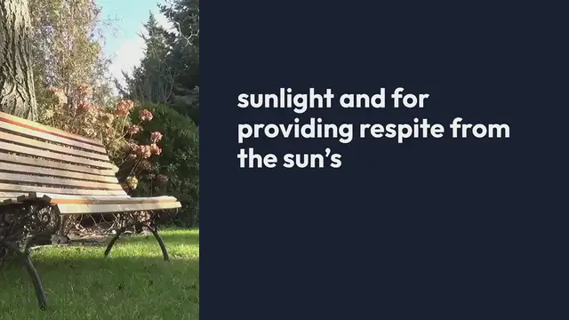 Video thumbnail for Creating Shaded Garden Areas