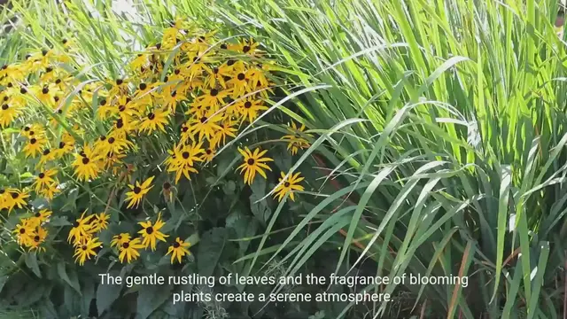 Video thumbnail for Beauty of Vegetation