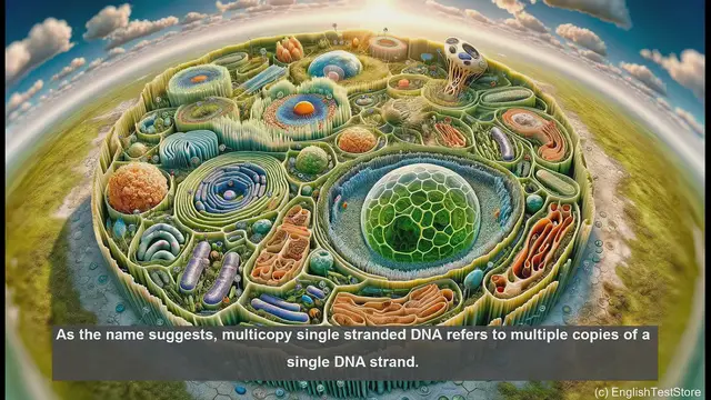 Video thumbnail for Multicopy single stranded DNA in biology