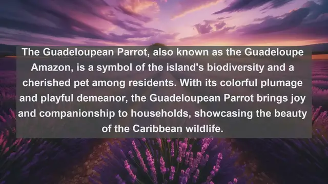 Video thumbnail for Exploring Guadeloupe's Pet Paradise: Top 10 Favorite Pets