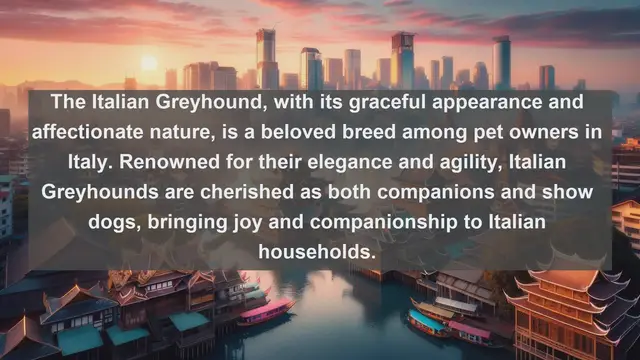 Video thumbnail for Italia's Finest Companions: Top 10 Favorite Pets Unveiled