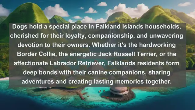 Video thumbnail for Meet the Beloved Companions of the Falkland Islands: Top 10 Favorite Pets