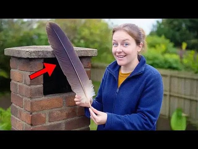 Video thumbnail for Woman Finds Giant Feather Stuck in Chimney, Then Learns What It Came From