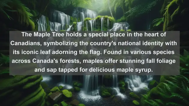 Video thumbnail for Exploring Canada's Botanical Marvels: Top 10 Native Plants