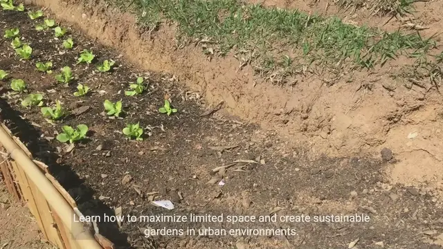 Video thumbnail for Unleashing Urban Farming Techniques: A Guide to Sustainable Farming