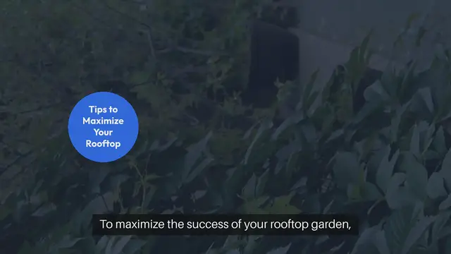 Video thumbnail for Rooftop Vegetable Gardening Tips