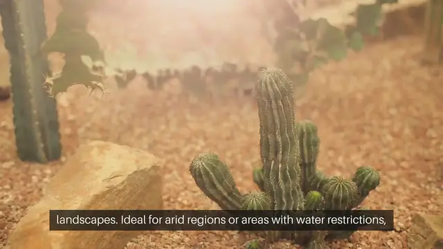 Video thumbnail for Xeriscape Gardening Ideas