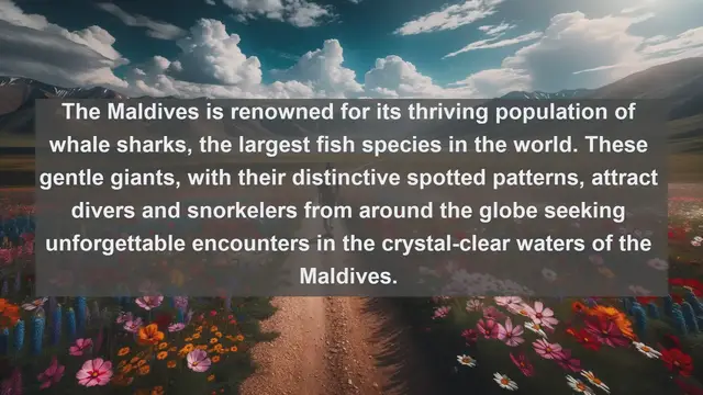 Video thumbnail for Top 10 native fauna in Maldives