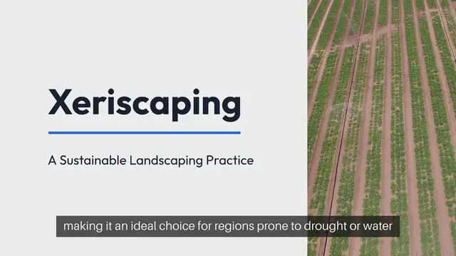 Video thumbnail for Xeriscaping Drought-Tolerant Garden Ideas