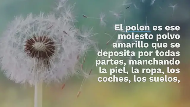 Video thumbnail for Cómo deshacerse del polen en casa: esto es todo lo que debe hacer de inmediato