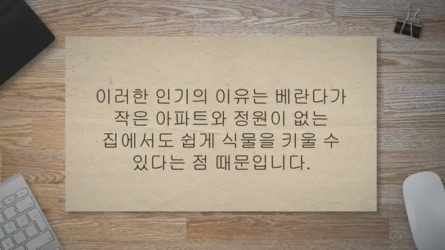 Video thumbnail for 수경 재배 가능 식물 키우면서 우리집 정원 만들기