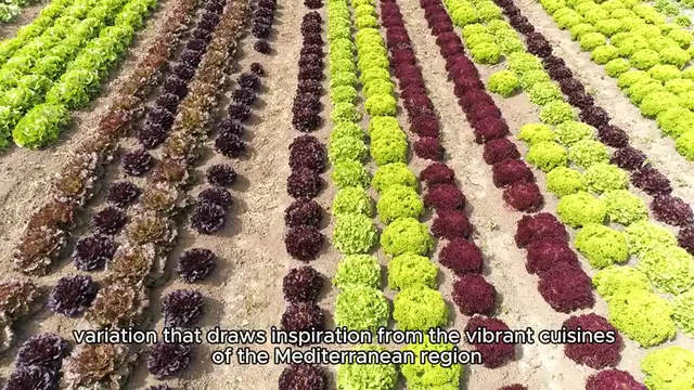 Video thumbnail for Mediterranean Pizza