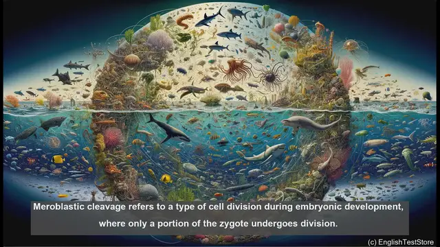 Video thumbnail for Meroblastic in biology