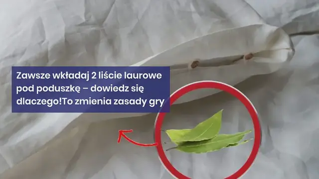 Video thumbnail for Zawsze wkładaj 2 liście laurowe pod poduszkę – dowiedz się dlaczego! To zmienia zasady gry