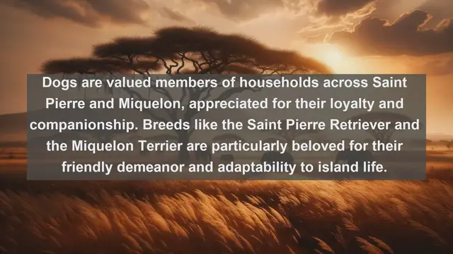 Video thumbnail for Island Pet Paradise: Top 10 Favorite Pets in Saint Pierre and Miquelon Unveiled